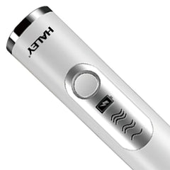 Spumator de Lapte Electric HALEY HY-1130, 20W, 3 Viteze, Încărcare USB, 2 Capete Inox, Multifuncțional 2 în 1