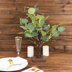 Pom decorativ luminat , Eucalipt