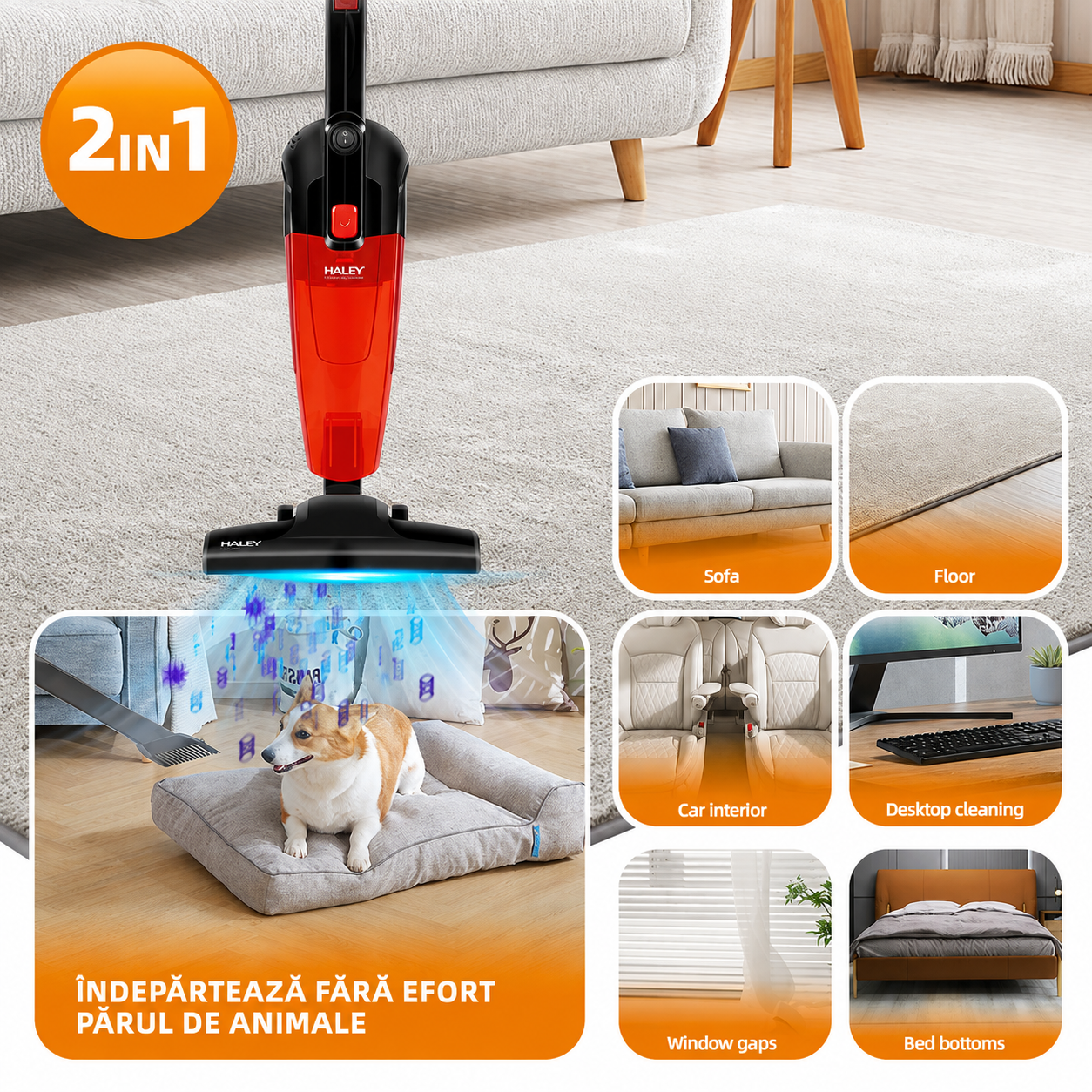 Aspirator Vertical 2 în 1 Cu Fir HALEY HY-1911, 650W, Recipient 1,2L, Tehnologie Ciclon, Filtrare în 4 Trepte, Rază 5 m