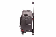 Boxa Activa Profesionala Portabila , Troler Temeisheng  Q7,95W, 10 Inch ,2 Microfoane Wireless, USB, Radio, Bluetooth
