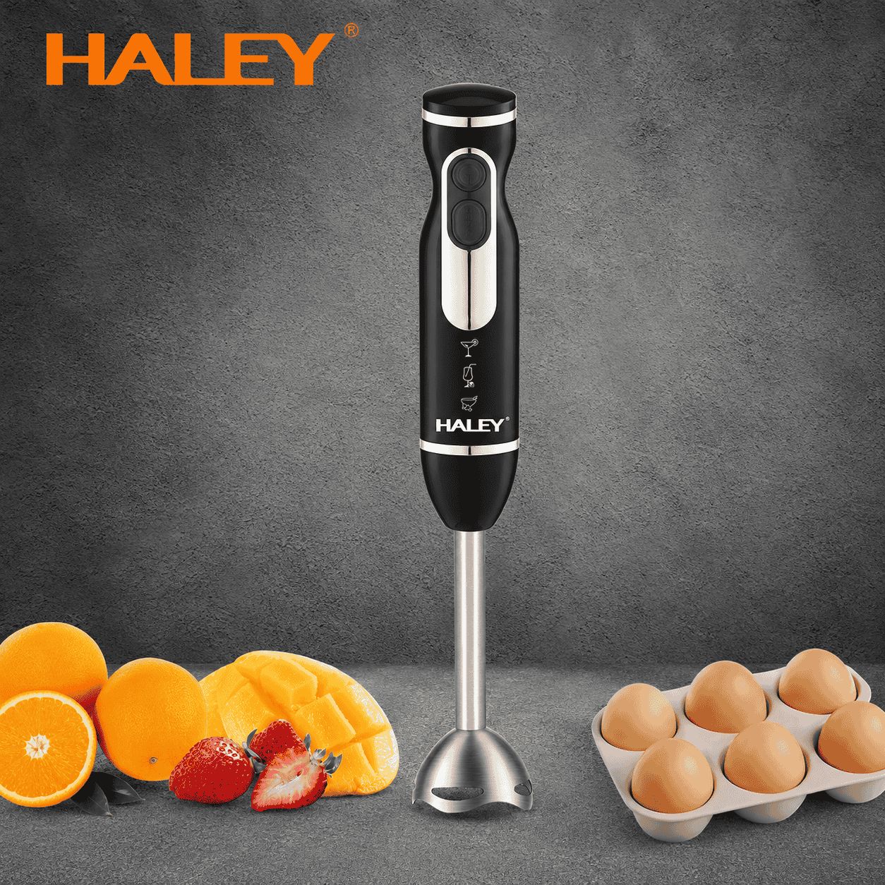 Blender Vertical De Mână Haley HY-1114, 1200W, 2 Viteze, Lame Din Oțel Inoxidabil, Funcție Anti-Stropire, Negru/Argintiu